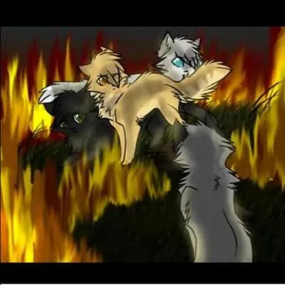 Qui le lui apprend ?