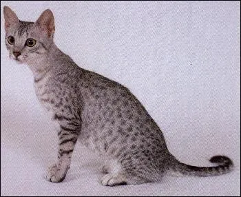 Comment meurt-elle ?