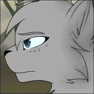 Que font Pelage de Granit et sa soeur pour la venger ?