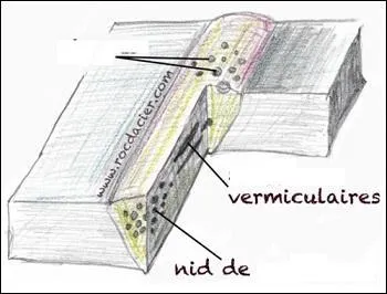 Quel nom porte une occlusion de gaz lors de la solidification du métal ?