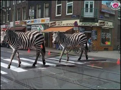 Le cosmonaute Alexei Leonov est le premier homme à réaliser une sortie durant plusieurs minutes dans l'espace, ce qui lui vaut d'être surnommé...