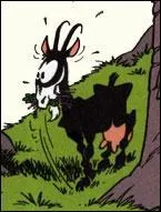 Dans quelle bande-dessinée rencontre-t-on Biquette ?