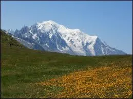 Né le 26 décembre, il parlait des flics ou des fonctionnaires en chantant "Il faut savoir ce que l'on aime et rentrer dans son HLM manger du poulet aux hormones" ...