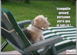 Un indice : T'as des bottes, mon pote, elles me bottent !