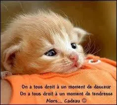 Un indice : En suçant mon pouce, j'écoutais en m'endormant !