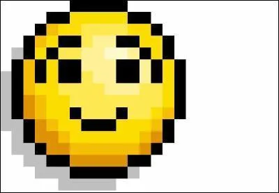 Quel est le 'mème' qui a été le plus popularisé et le plus diversifié ?