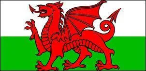 Quel est ce drapeau ?