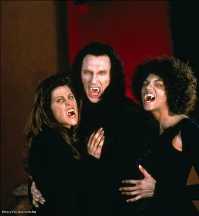 Jack Crow est un mercenaire du Vatican, avec son équipe, il est chargé de détruire les nids de vampires, mais il en est un qui a la peau dure, le puissant Valek, le maître des vampires !