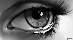 Dans ce monde idéal, 
Pourquoi tout semble aller si mal
Que les gens trouvent ça parfaitement ... ?