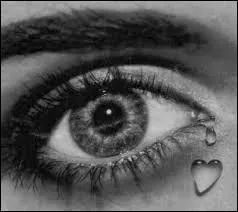 L'homme est un loup pour l'homme, me dit-on
Mais alors, pourquoi ... ne trouve de solution ?