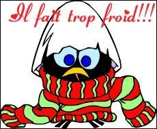 ______-tu un pull aujourd'hui ? Il fait froid !