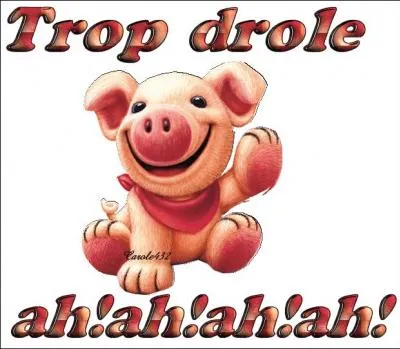 D comme drôle - Voilà une blague drôle ! Qu'est-ce qui se lève quand tu t'en sers, qui s'abaisse quand tu as fini de t'en servir et qui goutte après usage ?