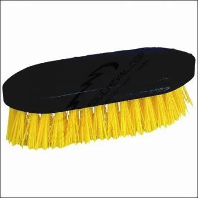 Comment s'appelle cette brosse ?