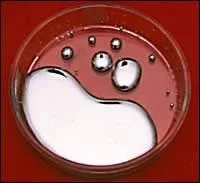 Quel élément chimique était autrefois appelé "vif-argent" ?