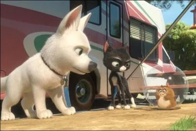 Quels sont leurs noms ? (de gauche à droite)