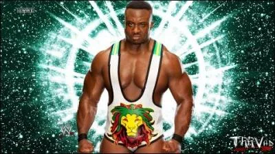 Qui est ce catcheur ?