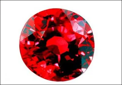 Sur l'image, c'est un...