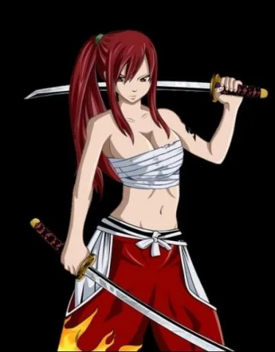 Comment s'appelle cette armure d'Erza ?