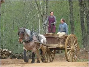 Les chevaux étaient très nombreux au moyen âge, comment appelait-on ceux qui étaient utilisés pour les travaux agricoles ?