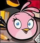 Quel est son pouvoir ?