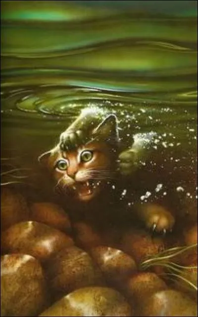 A-t-elle eu des chatons ?