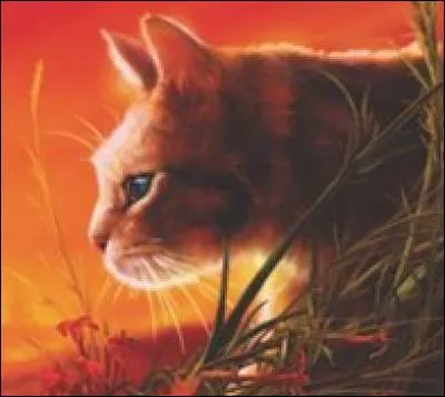 Comment est-elle morte?