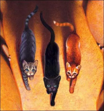 Qui sont ses frères ?