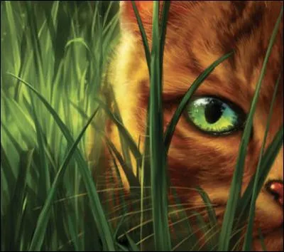 Est-elle de la famille d'Etoile de Feu ?