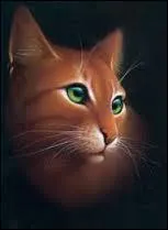 Qui est son compagnon ?