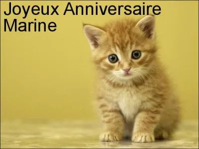 Qui joue-t-elle dans le groupe "Venez créer une nouvelle vie" ?