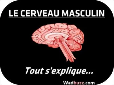 La Grande Question, à laquelle je n'ai jamais pu répondre : Mais qu'est-ce qu'elles veulent au juste ?