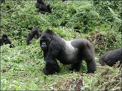 Amitié et convivialité sont les deux mamelles de ...