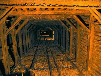 Le mot commence par CUL  et correspond à :