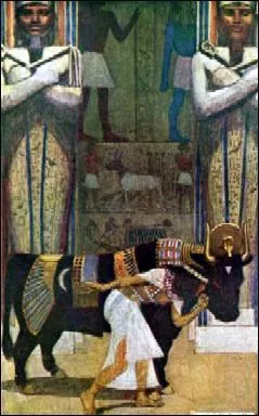 Ce taureau était vénéré comme un dieu, durant son existence, puis avait droit à un embaumement digne d'un pharaon ; en l'honneur de quelle divinité ?