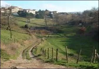 Quand ils couraient la campagne, que faisaient les chauffeurs de pâturons ?