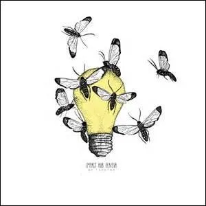 Quel est l'emploi du verbe quand on dit : les papillons se grillent les ailes à la lumière de l'ampoule ?