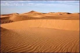 Quel désert est considéré comme la plus vaste du monde ?