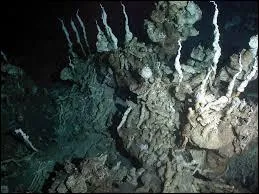 Dans quel océan trouve-t-on la fosse des Mariannes connu pour être la fosse océanique la plus profonde du monde ?