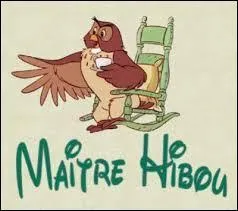 Dans quel dessin animé apparaît Maître Hibou qui est présenté sur cette photo ?