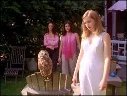 Dans quelle saison de la série "Charmed", peut-on voir un couple dont l'homme se transforme en chouette le jour ?