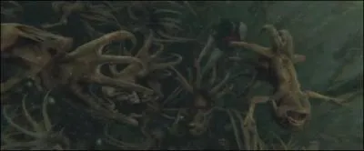 Quelle créature suis-je ?