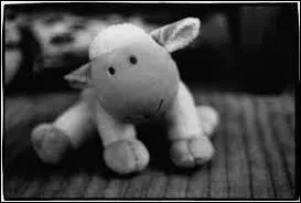 La douleur et l'&eacute;motion sont les pires sentiments lorsqu'ils sont combin&eacute;s. Comment ne pas pleurer lorsqu'on voit une personne forc&eacute;e de faire le deuil de son ami, qui aurait d&ucirc; vivre de tr&egrave;s longues ann&eacute;es de plus ? Certains disent que c'est la faute du pr&eacute;sident. Je ne suis absolument pas d'accord. On ne va pas se reprocher d'aller sauver des innocents en Syrie. C'est ... faute.