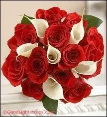 ''La Colline des roses'' et ''Rose Song'' ont été chantées par le premier groupe français à s'être produit au Stade de France à guichet fermé. Quel est ce groupe ?