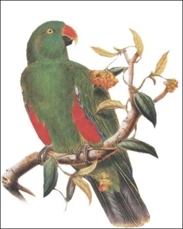 Siège de cérémonie des souverains :