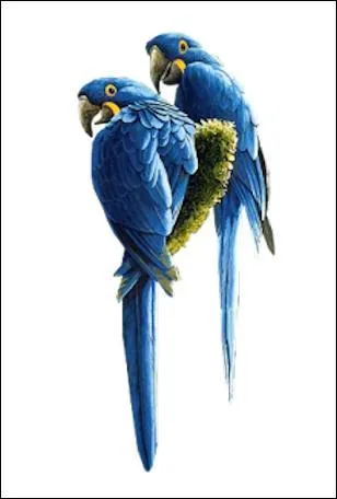 Somme perçue en trop :