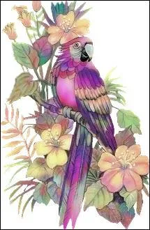 Anatomie. Articulation dont la forme rappelle celle d'une poulie :