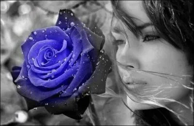 Dans les aventures de Tintin, à qui Tryphon Tournesol dédie-t-il une rose de sa création ?