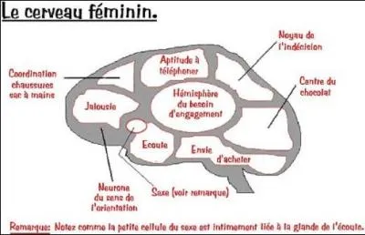 Parmi ces noms, lequel n'est pas féminin ?