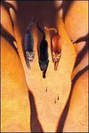 Qui est la mère des trois "héros" du cycle 3 ?