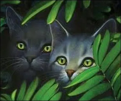 Quels sont les trois "héros" du cycle 1 ?